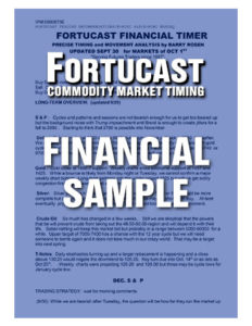 Fortucast Sample Financial Timer