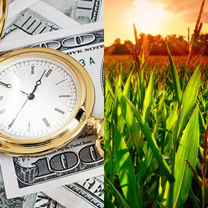 Fortucast Financial & Agricultural Timer